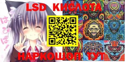 ПСИЛОЦИБИНОВЫЕ ГРИБЫ Кандалакша