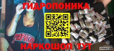 гашик Канаш
