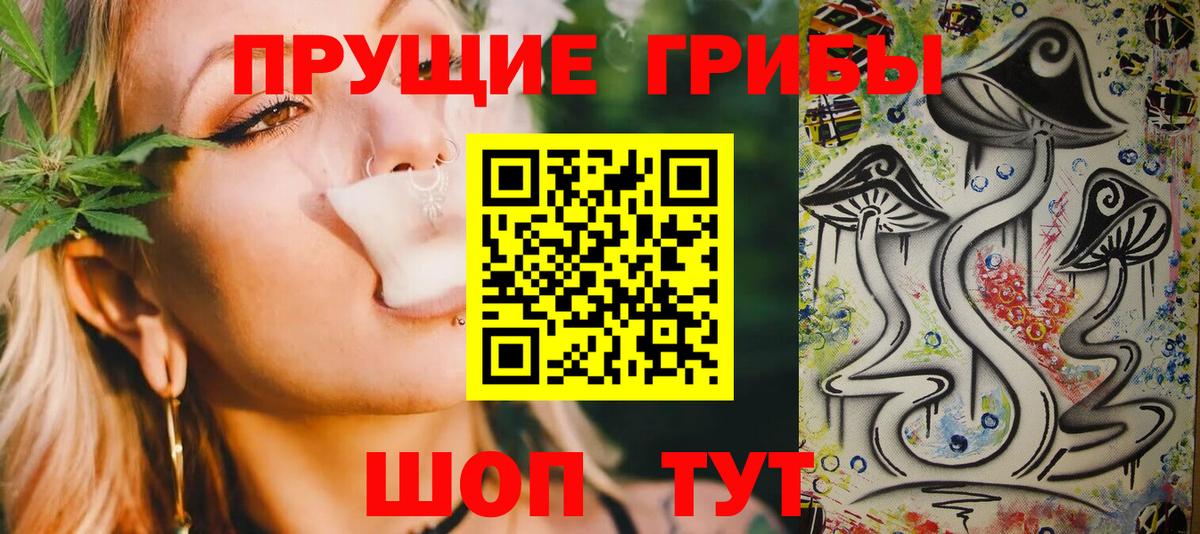 Псилоцибиновые грибы мицелий Кузнецк